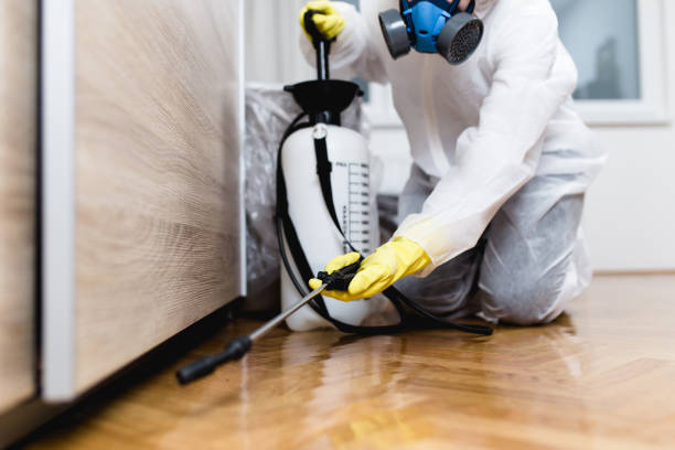  Avenue B And C, AZ Pest Control Pros