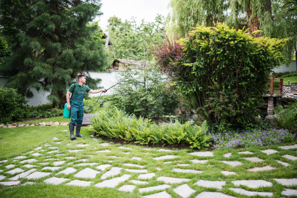 Best Affordable Pest Control Services  in Avenue B And C, AZ