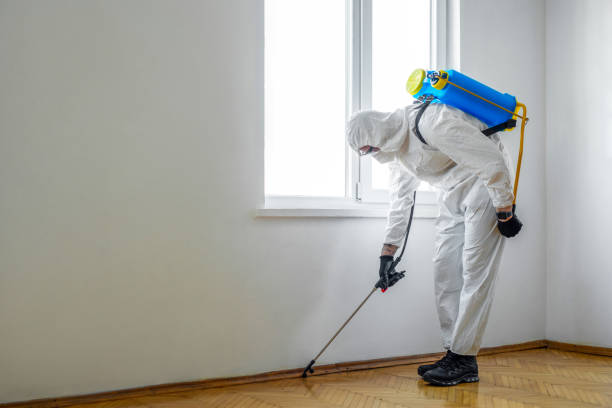 Best Pest Prevention Services  in Avenue B And C, AZ