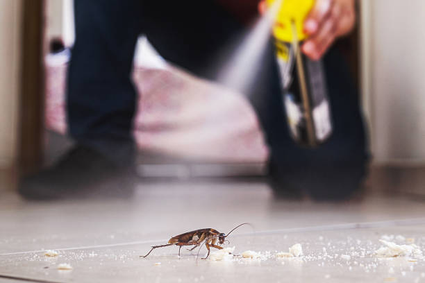 Best Commercial Pest Control Services  in Avenue B And C, AZ